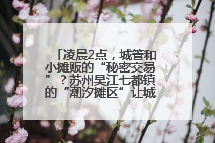 凌晨2点，城管和小摊贩的“秘密交易”？苏州吴江七都镇的“潮汐摊区”让城市管理有了人情味