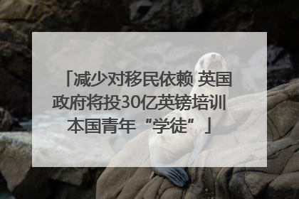 减少对移民依赖 英国政府将投30亿英镑培训本国青年“学徒”