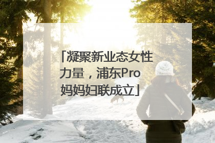凝聚新业态女性力量，浦东Pro妈妈妇联成立