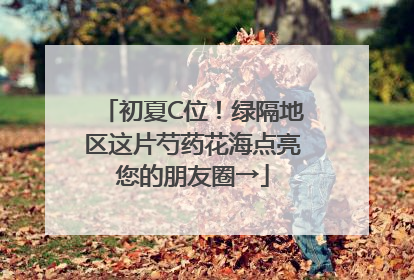初夏C位！绿隔地区这片芍药花海点亮您的朋友圈→