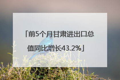 前5个月甘肃进出口总值同比增长43.2%