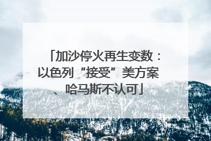 加沙停火再生变数：以色列“接受”美方案、哈马斯不认可