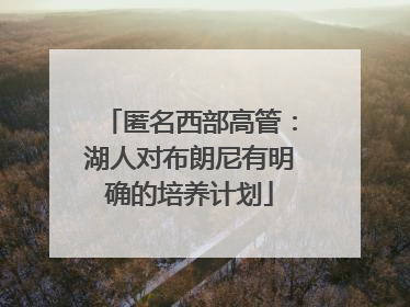 匿名西部高管：湖人对布朗尼有明确的培养计划