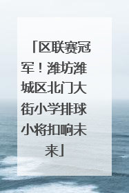 区联赛冠军！潍坊潍城区北门大街小学排球小将扣响未来