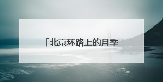 北京环路上的月季到底是谁在种？
