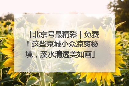 北京号最精彩｜免费！这些京城小众凉爽秘境，溪水清透美如画