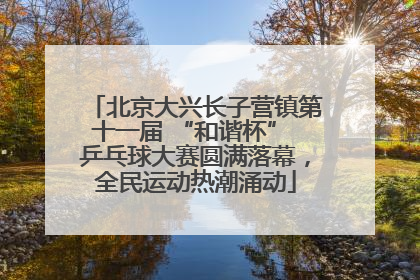 北京大兴长子营镇第十一届 “和谐杯” 乒乓球大赛圆满落幕，全民运动热潮涌动