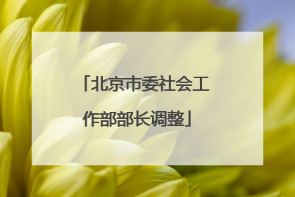 北京市委社会工作部部长调整