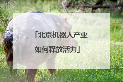 北京机器人产业如何释放活力