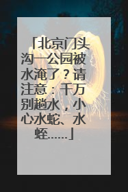 北京门头沟一公园被水淹了？请注意：千万别趟水，小心水蛇、水蛭……