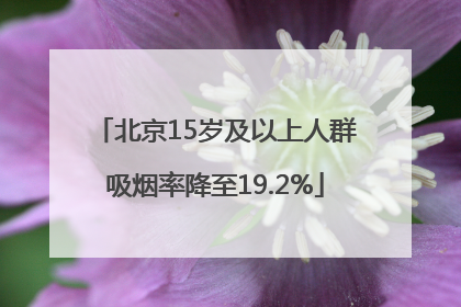 北京15岁及以上人群吸烟率降至19.2%