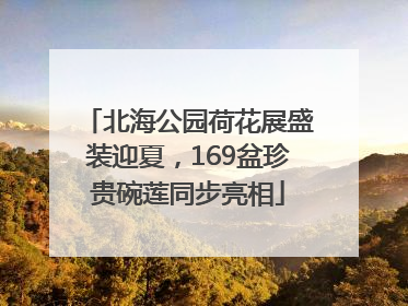 北海公园荷花展盛装迎夏，169盆珍贵碗莲同步亮相