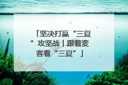 坚决打赢“三夏”攻坚战丨跟着麦客看“三夏”