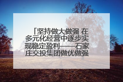 坚持做大做强 在多元化经营中逐步实现稳定盈利——石家庄交投集团做优做强典型报道之三