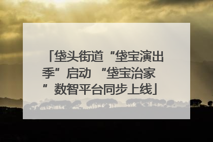 垡头街道“垡宝演出季”启动 “垡宝治家”数智平台同步上线