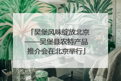 吴堡风味绽放北京——吴堡县农特产品推介会在北京举行