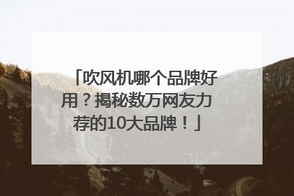 吹风机哪个品牌好用？揭秘数万网友力荐的10大品牌！