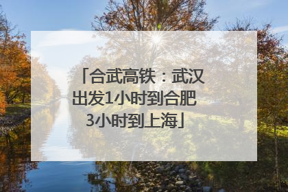 合武高铁：武汉出发1小时到合肥3小时到上海