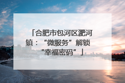 合肥市包河区淝河镇：“微服务”解锁“幸福密码”