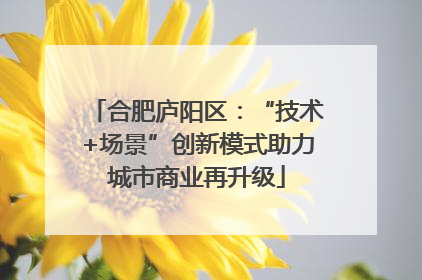 合肥庐阳区：“技术+场景”创新模式助力城市商业再升级