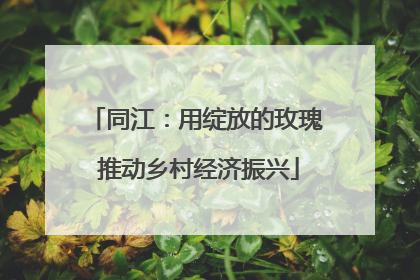 同江：用绽放的玫瑰 推动乡村经济振兴