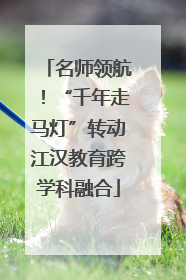 名师领航！“千年走马灯”转动江汉教育跨学科融合