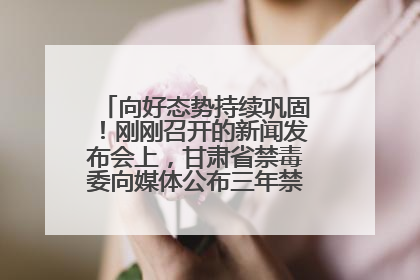 向好态势持续巩固！刚刚召开的新闻发布会上，甘肃省禁毒委向媒体公布三年禁毒工作“成绩单”