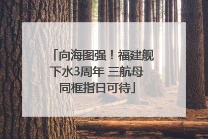 向海图强！福建舰下水3周年 三航母同框指日可待
