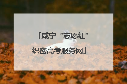 咸宁“志愿红”织密高考服务网