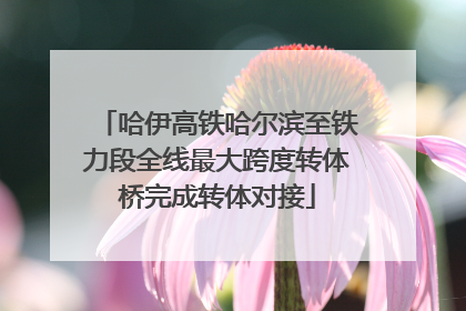 哈伊高铁哈尔滨至铁力段全线最大跨度转体桥完成转体对接