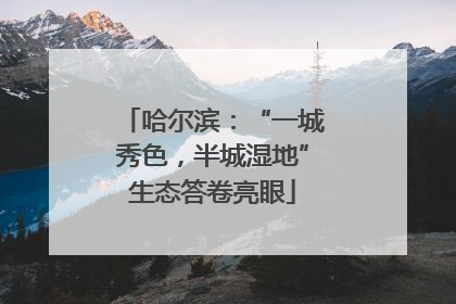 哈尔滨：“一城秀色，半城湿地”生态答卷亮眼