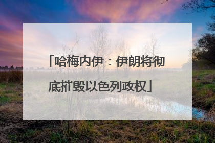 哈梅内伊：伊朗将彻底摧毁以色列政权