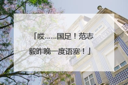 哎……国足！范志毅昨晚一度语塞！