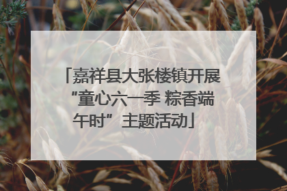 嘉祥县大张楼镇开展“童心六一季 粽香端午时”主题活动