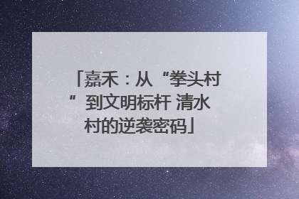嘉禾：从“拳头村”到文明标杆 清水村的逆袭密码