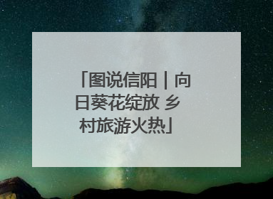 图说信阳｜向日葵花绽放 乡村旅游火热