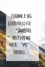 国网上杭县供电公司：“满格电”助力养殖场生“鸡”勃勃