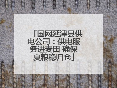 国网延津县供电公司：供电服务进麦田 确保夏粮稳归仓