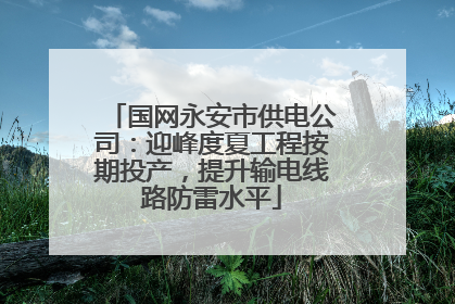 国网永安市供电公司：迎峰度夏工程按期投产，提升输电线路防雷水平