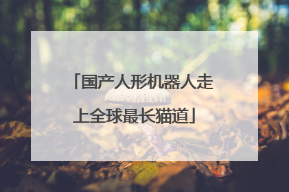国产人形机器人走上全球最长猫道