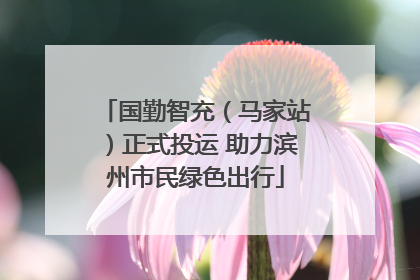 国勤智充（马家站）正式投运 助力滨州市民绿色出行