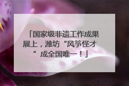 国家级非遗工作成果展上，潍坊“风筝怪才”成全国唯一！