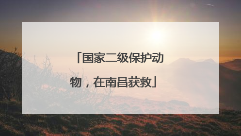 国家二级保护动物，在南昌获救
