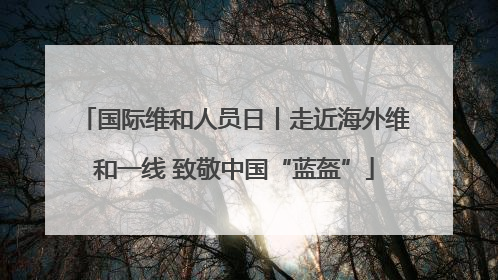 国际维和人员日丨走近海外维和一线 致敬中国“蓝盔”