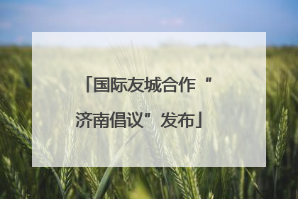 国际友城合作“济南倡议”发布