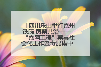 四川乐山举行嘉州铁腕 厉禁共治——“嘉网工程”禁毒社会化工作暨毒品集中销毁启动仪式