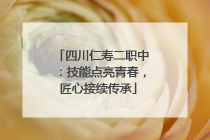 四川仁寿二职中：技能点亮青春，匠心接续传承