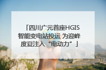 四川广元首座HGIS智能变电站投运 为迎峰度夏注入“电动力”