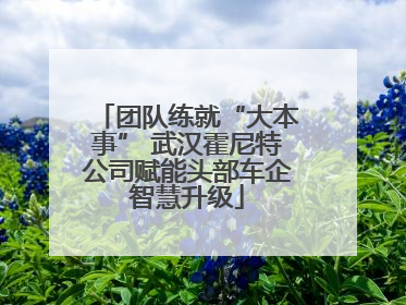 团队练就“大本事” 武汉霍尼特公司赋能头部车企智慧升级