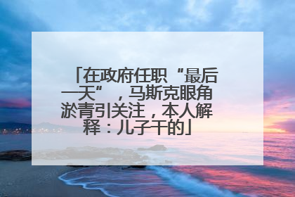 在政府任职“最后一天”，马斯克眼角淤青引关注，本人解释：儿子干的
